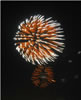 Fireworks 9